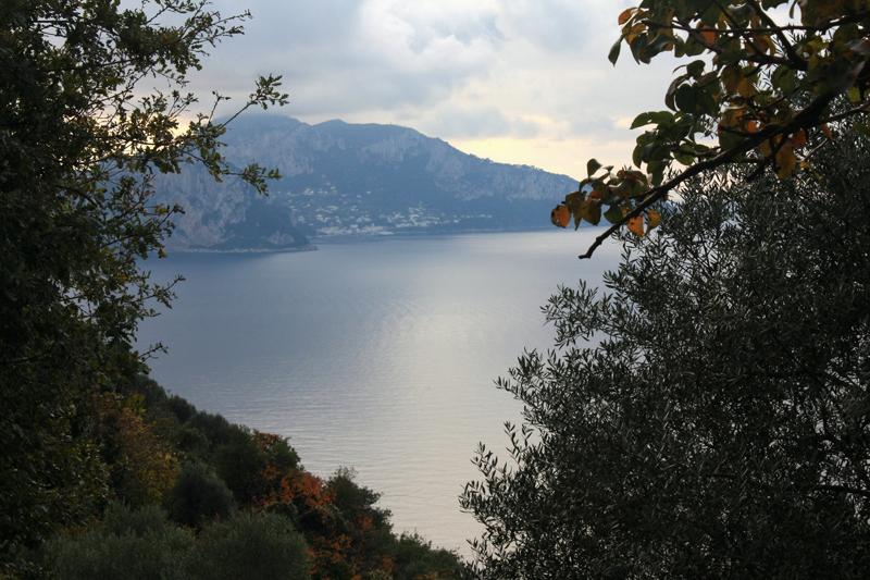 22-Capri,tra Termini e la Punta Campanella,15 novembre 2009.jpg